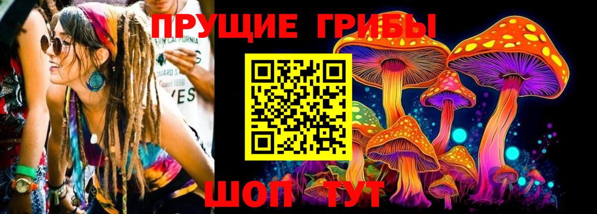 Галлюциногенные грибы Cubensis Верхний Уфалей
